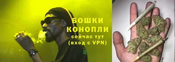 гидра Армянск