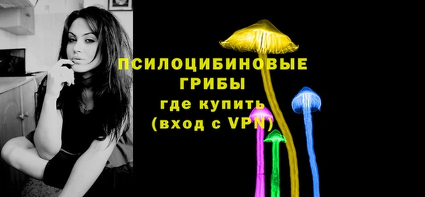 мяу мяу мука Арсеньев