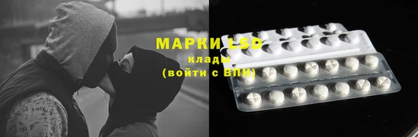 мяу мяу мука Арсеньев