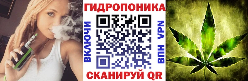 Конопля план  закладка  Сим 